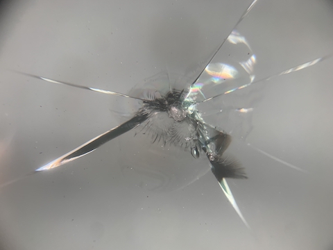 ハスラーのフロントガラス割れ被害続出！交換しないで修理は可能！