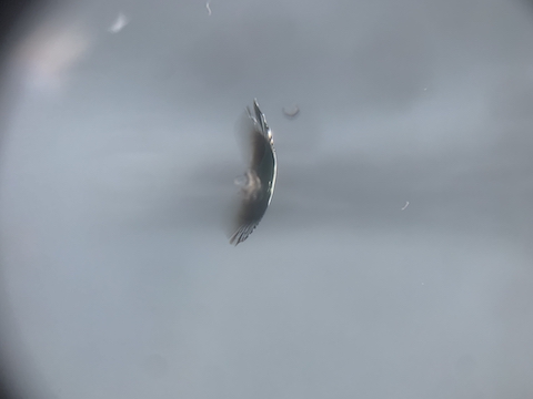 フロントガラスの傷を目立たなくする修理方法