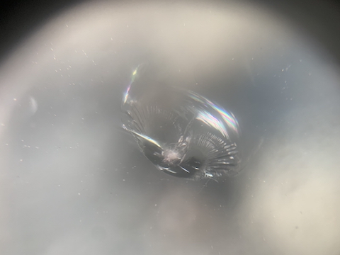 日曜日もフロントガラスを当日修理可能！