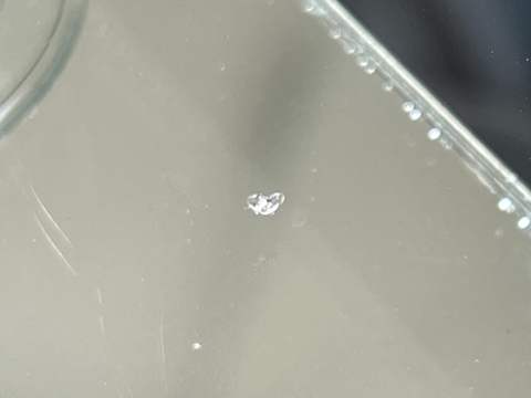 フロントガラスが飛び石で欠けた！目立った傷を補修で修理