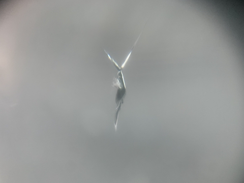 フロントガラスのヒビは大きくなって車検不合格になります！