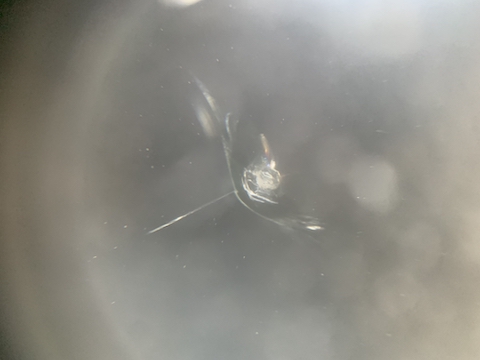 フロントガラス端っこのひび割れでも直せるウインドリペア