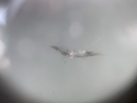 フロントガラス交換よりも修理でひび割れ直すのが一番！