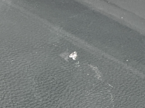 フロントガラスに小さい傷、目立たなく・ヒビを伸ばさない修理