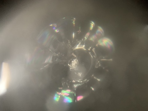 フロントガラスの黒い部分でもひび割れ直せます！