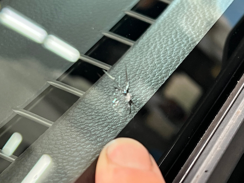 フロントガラス下側のひび割れも修理します！