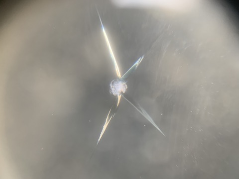 ハイブリッドは特殊フロントガラス、高額な交換より修理！