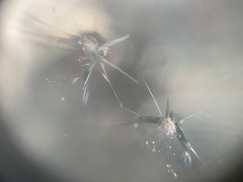 フロントガラスに2ヶ所のひび割れも交換より修理！