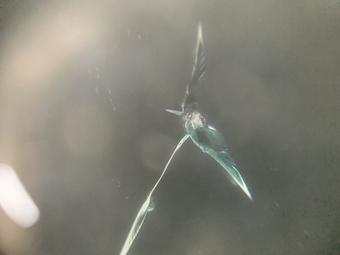 フロントガラスの端ギリギリのひび割れを修理！