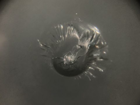 輸入車の高額なフロントガラスを修理で直す！