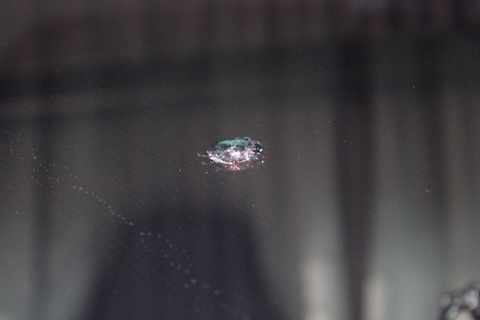 フィアットデュカトのフロントガラスひび割れも即日修理！45分で完了