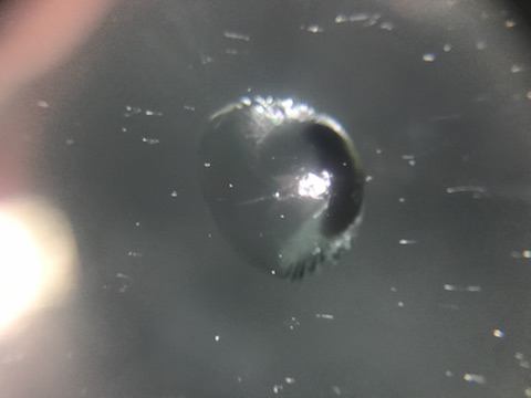 交野市　オデッセイ　フロントガラス　飛び石　修理　ウインドリペア